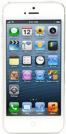 Смартфон Apple iPhone 5 64Gb White & Silver - Новошахтинск