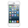 Apple iPhone 5 16Gb white - Новошахтинск