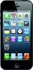 Apple iPhone 5 64GB - Новошахтинск